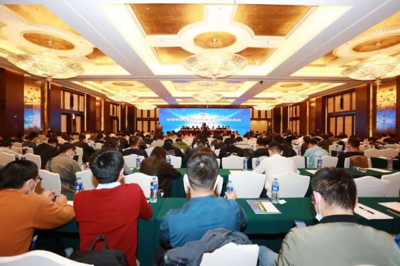 1654829303101606.jpg 01.jpg