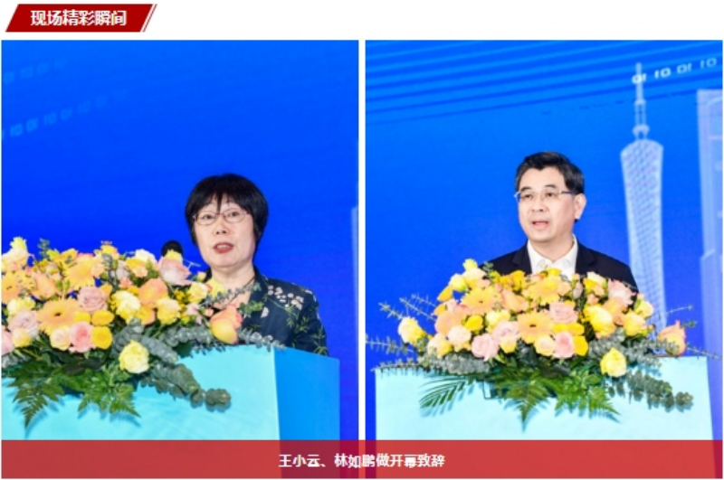 1703152002295585.png 1.png